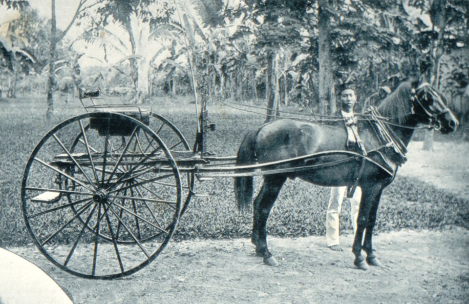 KITLV - 80270 - Kleingrothe, C.J. - Medan - Batak pony with carriage, presumably in the east coast of Sumatra - 1898