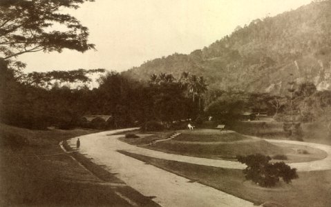KITLV - 80037 - Kleingrothe, C.J. - Medan - Botanical Gardens in Penang - circa 1910