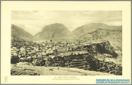 KITLV - 37373 - Demmeni, J. - Tulp, De - Haarlem - Dieng Plateau in Central Java - 1911
