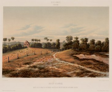 KITLV - 47D31 - Voorduin, Gerard Werner Catharinus (1830-1910) - Heemskerck van Beest, Jhr Jacob Eduard van - Jodensavanne (Jew's Savannah), south of Paramaribo - Colour lithography - 1860-1862