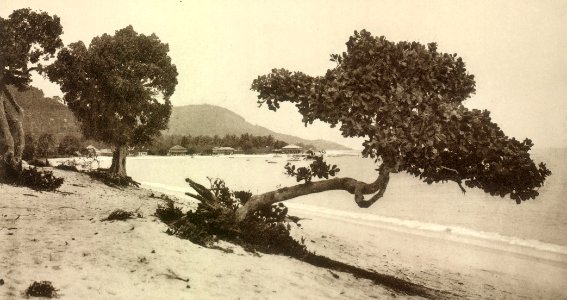 KITLV - 80049 - Kleingrothe, C.J. - Medan - Coast at Tandjong Tokong in Penang - circa 1910 photo