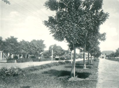 KITLV - 80216 - Kleingrothe, C.J. - Medan - Hotelweg Medan, Sumatra - 1898