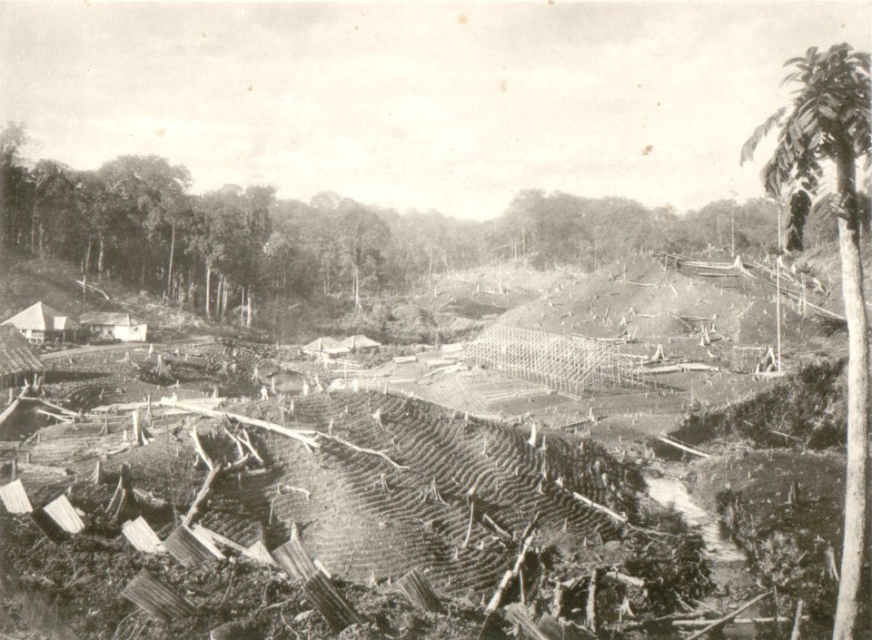 KITLV - 80236 - Kleingrothe, C.J. - Medan - Seed beds and barns under construction on a tobacco plantation, probably in the east coast of Sumatra - 1898