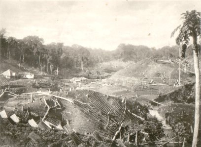 KITLV - 80236 - Kleingrothe, C.J. - Medan - Seed beds and barns under construction on a tobacco plantation, probably in the east coast of Sumatra - 1898