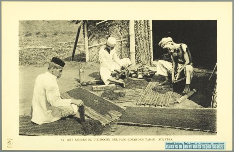 KITLV - 37413 - Demmeni, J. - Tulp, De - Haarlem - Cutting and laying out of tobacco at Payakumbuh, Sumatra - 1911