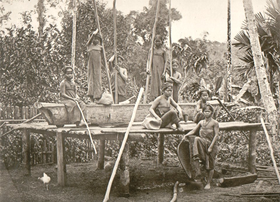 KITLV - 80256 - Kleingrothe, C.J. - Medan - Batak women pounding rice, presumably in the east coast of Sumatra - 1898