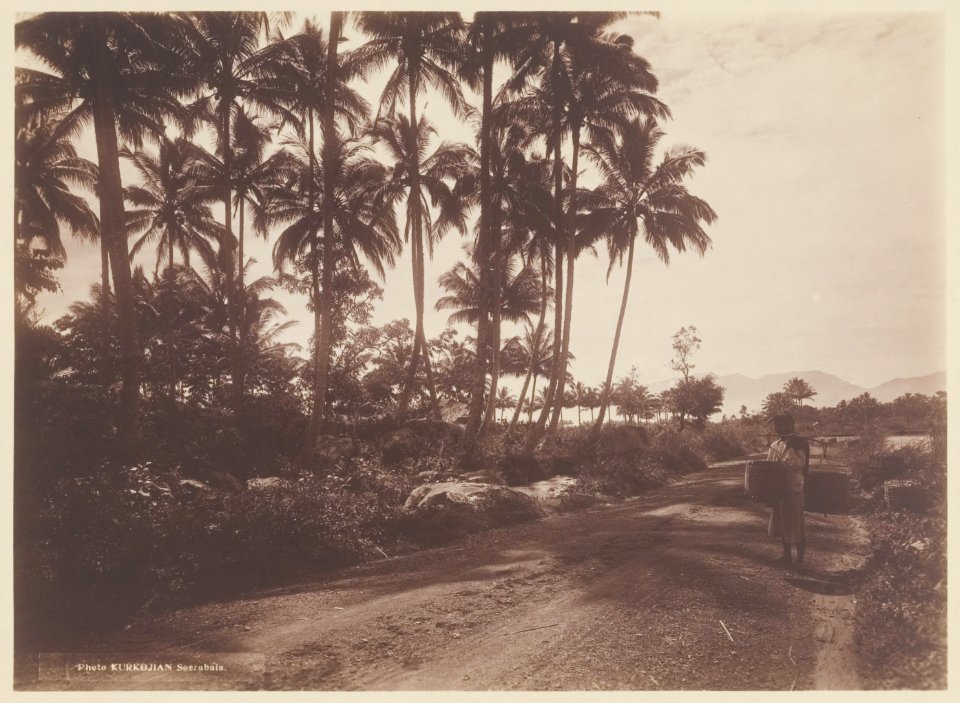 KITLV - 5295 - Kurkdjian - Soerabaja - The road to Garut - circa 1900