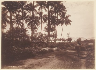 KITLV - 5295 - Kurkdjian - Soerabaja - The road to Garut - circa 1900