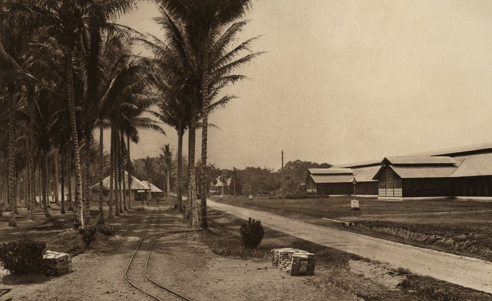 KITLV - 88273 - Kleingrothe, C.J. - Medan - Railroad of the grounds of the plantation Sampali of the Deli Company in Deli - 1905