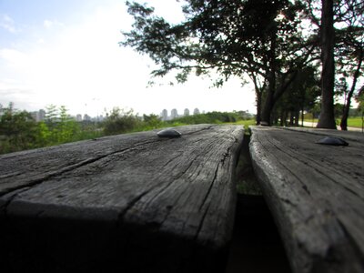 Order afternoon naturesa