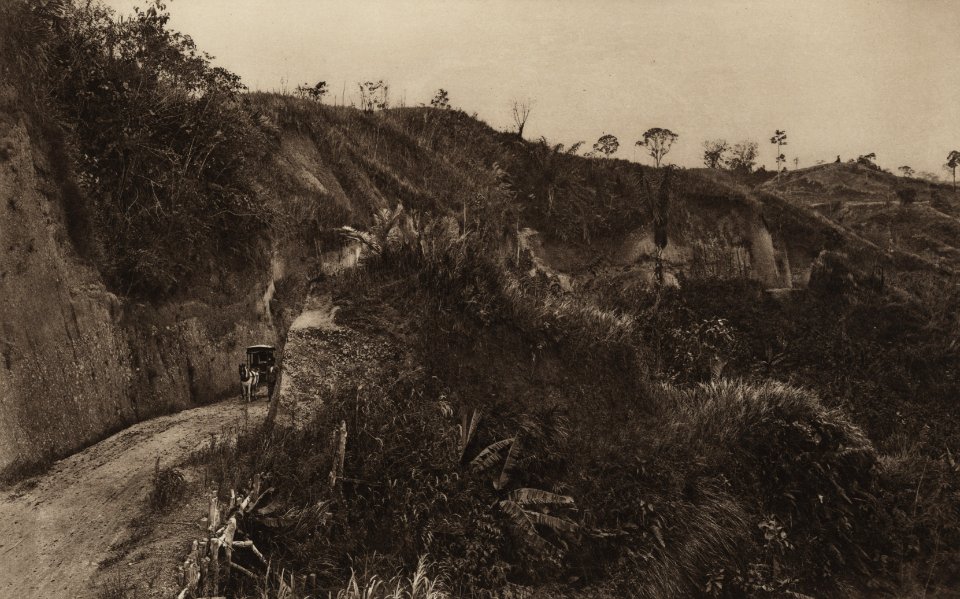 KITLV - 88295 - Kleingrothe, C.J. - Medan - Road from plantation Gambir to plantation Tuntungan of the Deli Company in Deli - 1905
