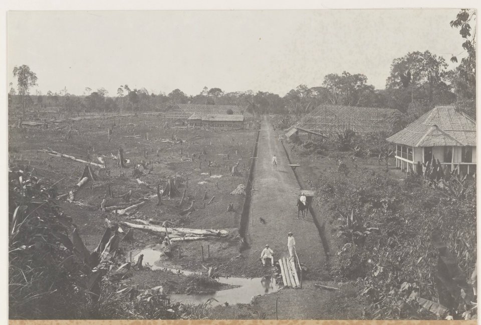 KITLV - 5476 - Kleingrothe, C.J. - Medan - Newly reclaimed land for growing tobacco on a plantation of the Deli Maatschappij (Deli Company), Deli - circa 1915