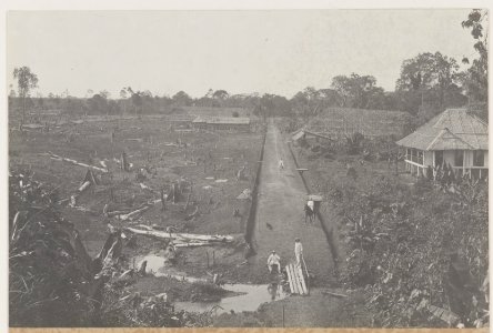 KITLV - 5476 - Kleingrothe, C.J. - Medan - Newly reclaimed land for growing tobacco on a plantation of the Deli Maatschappij (Deli Company), Deli - circa 1915