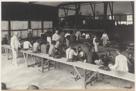 KITLV - 5488 - Kleingrothe, C.J. - Medan - The throw of the tobacco at the company Pungai of the Deli Company in Deli - 1905