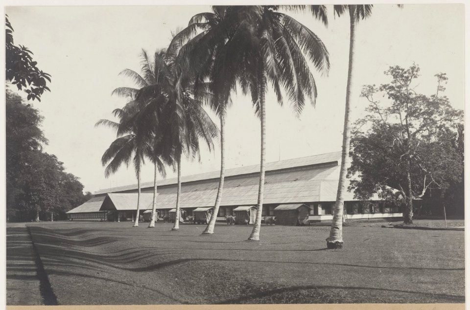 KITLV - 5493 - Kleingrothe, C.J. - Medan - Fermentation barn on a tobacco plantation of the Deli Maatschappij (Deli Company), Deli - circa 1915