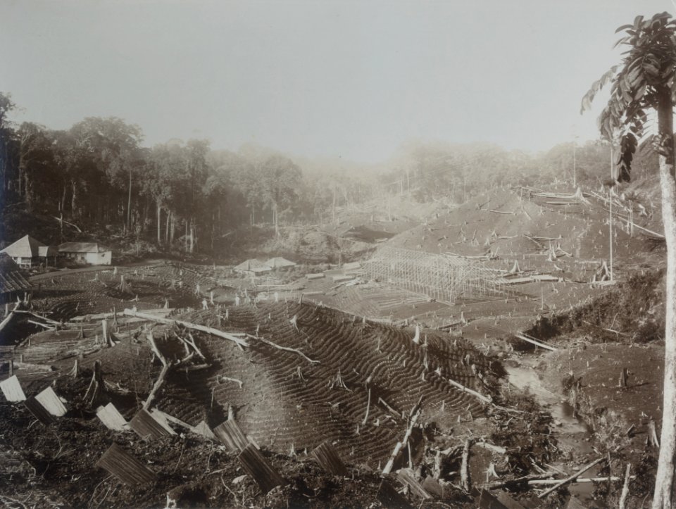 KITLV - 86755 - Stafhell & Kleingrothe - Medan-Deli - Reclamation of land at a company in Deli - circa 1900