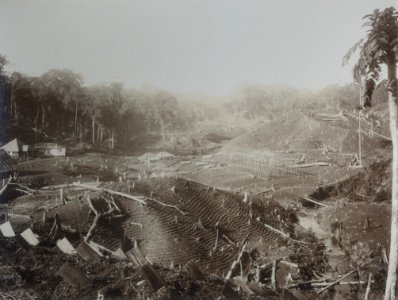 KITLV - 86755 - Stafhell & Kleingrothe - Medan-Deli - Reclamation of land at a company in Deli - circa 1900