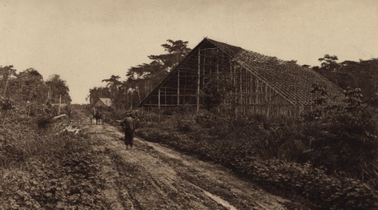 KITLV - 88319 - Kleingrothe, C.J. - Medan - Drying shed under construction at the plantation Kwala Bingei of the Deli Company in Deli - 1905
