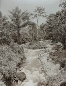 KITLV - 86767 - Stafhell & Kleingrothe - Medan-Deli - River, probably in Deli - circa 1900