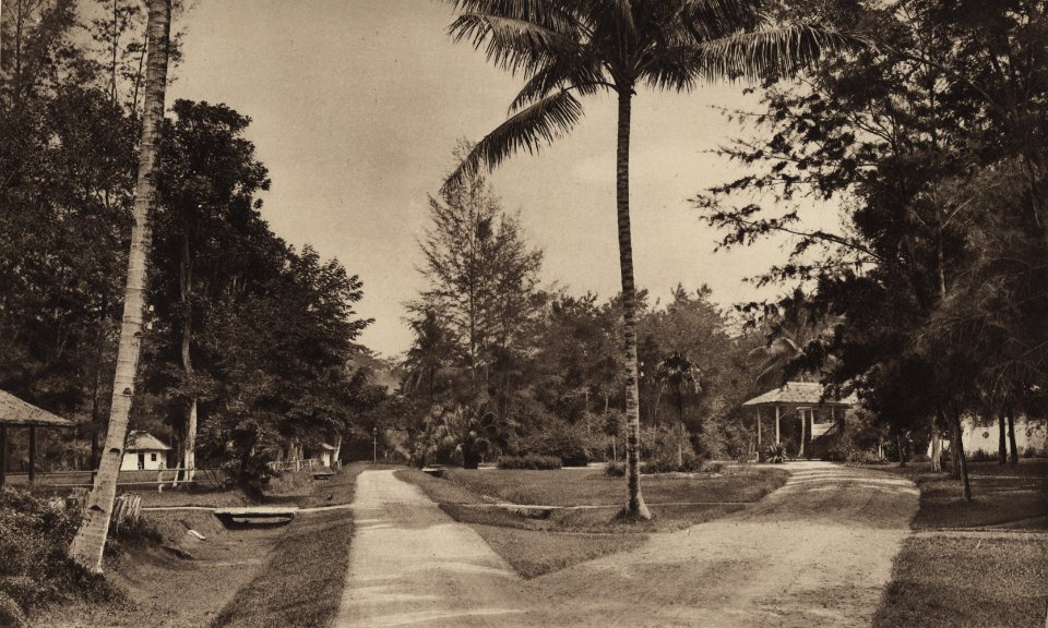 KITLV - 88281 - Kleingrothe, C.J. - Medan - Administrator's houses on the plantation Polonia of the Deli Company in Deli - 1905