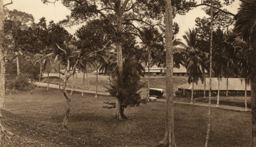 KITLV - 88301 - Kleingrothe, C.J. - Medan - Ox stable and houses for Klingalese personnel at the Belawan plantation of the Deli Company in Deli - 1905