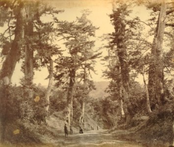 KITLV - 89919 - Beato, Felice - Tōkaidō road in Japan - presumably 1863-1865