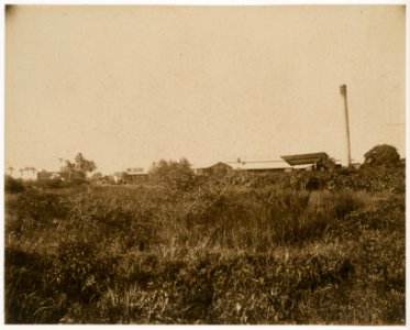 KITLV - 39053 - Muller, Julius Eduard - Paramaribo - Plantation Kroonenburg (cocoa, groundnuts and rice) in Surinam - circa 1885 photo