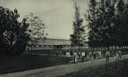 KITLV - 88317 - Kleingrothe, C.J. - Medan - Fermentation barn of the plantation Kwala Bingei of the Deli Company in Deli - 1905