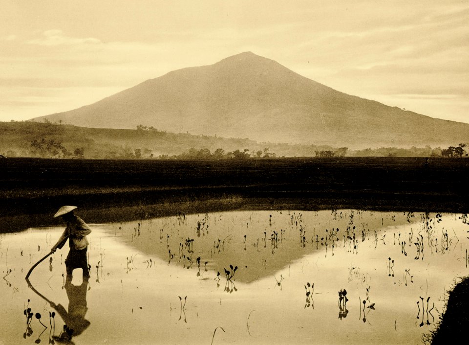 KITLV - 75172 - Kurkdjian, Fotograaf George P. Lewis, aldaar werkzaam - Sourabaya, Java - The Gunung Cikuray - circa 1910