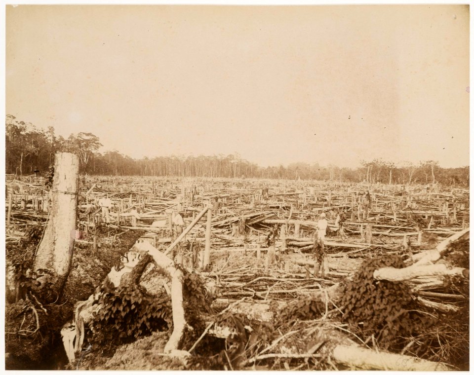 KITLV - 39069 - Muller, Julius Eduard - Paramaribo - Ground reclamation in Surinam - circa 1885