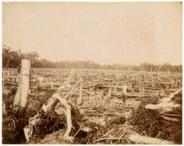 KITLV - 39069 - Muller, Julius Eduard - Paramaribo - Ground reclamation in Surinam - circa 1885 photo