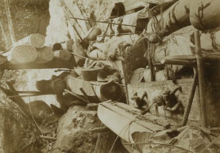KITLV - 90982 - Demmeni, J. - Coffins at Cehan near Samarinda during the Borneo expedition led by Dr. A. W. Nieuwenhuis - 1898-1900