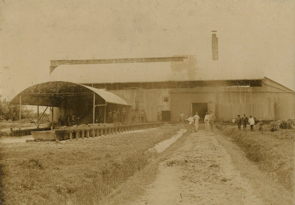 KITLV - 91641 - Factory of the sugar company Rust en Werk (Rest and Work) in Surinam - 1890-01