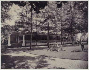 KITLV - 7798 - Kurkdjian - Soerabaja - Administrator's house of sugar company De Maas near Panarukan - circa 1910