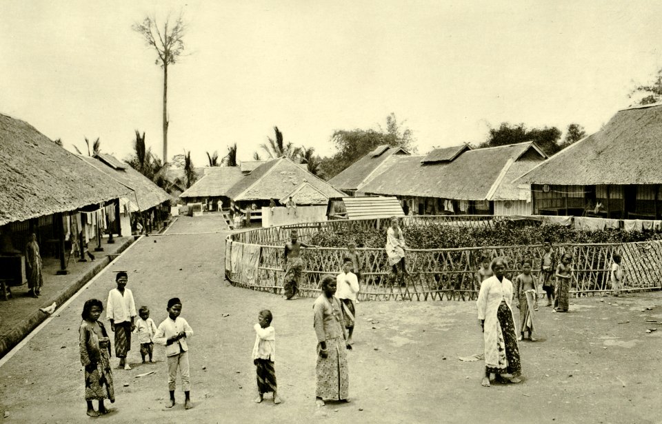 KITLV - 78306 - Kleingrothe, C.J. - Medan - Kampong of the Javanese on a tobacco plantation of the Amsterdam Deli Company at Kala Hoen Penang (Kela Hoen Pinang) at Medan, Sumatra - circa 1900
