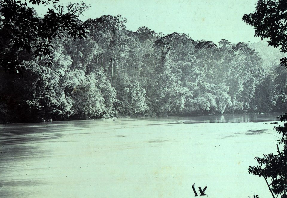 KITLV - 408001 - Demmeni, J. - River during the Borneo expedition led by Dr. A. W. Nieuwenhuis - 1896-1897
