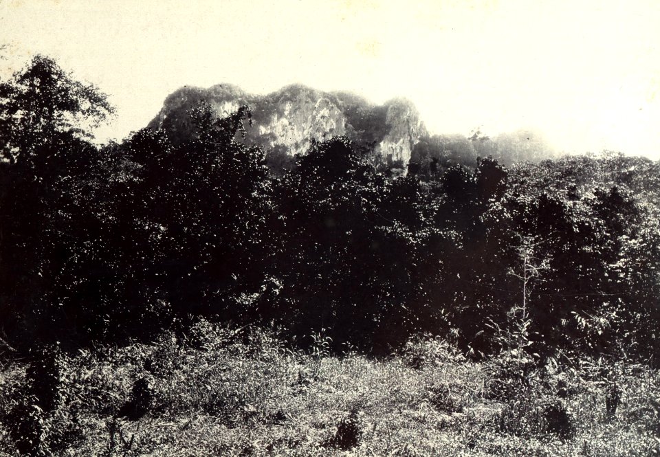 KITLV - 408005 - Demmeni, J. - Mountain photographed during the Borneo expedition led by Dr. A. W. Nieuwenhuis - 1896-1897