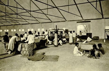 KITLV - 78331 - Kleingrothe, C.J. - Medan - Coolies press tobacco in a barn of the Amsterdam Deli Company near Medan, Sumatra - circa 1900