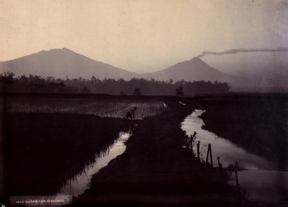 KITLV - 415066 - Kurkdjian, N.V. Photografisch Atelier - Soerabaia-Java - Java Series. A paddy field landscape with two mountains in the background - 