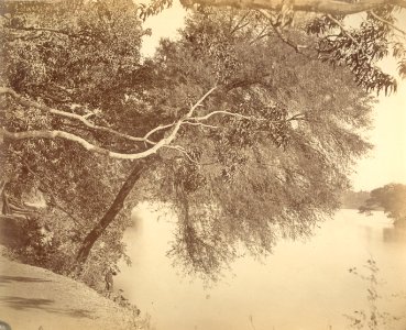 KITLV 100097 - Unknown - Sussa's Bag (Saras Baug), the park at the Parvati Lake at Poona in India - Around 1875