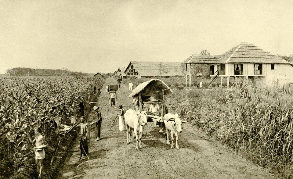 KITLV - 78469 - Kleingrothe, C.J. - Medan - Assistant's house in tobacco fields in Deli - circa 1900