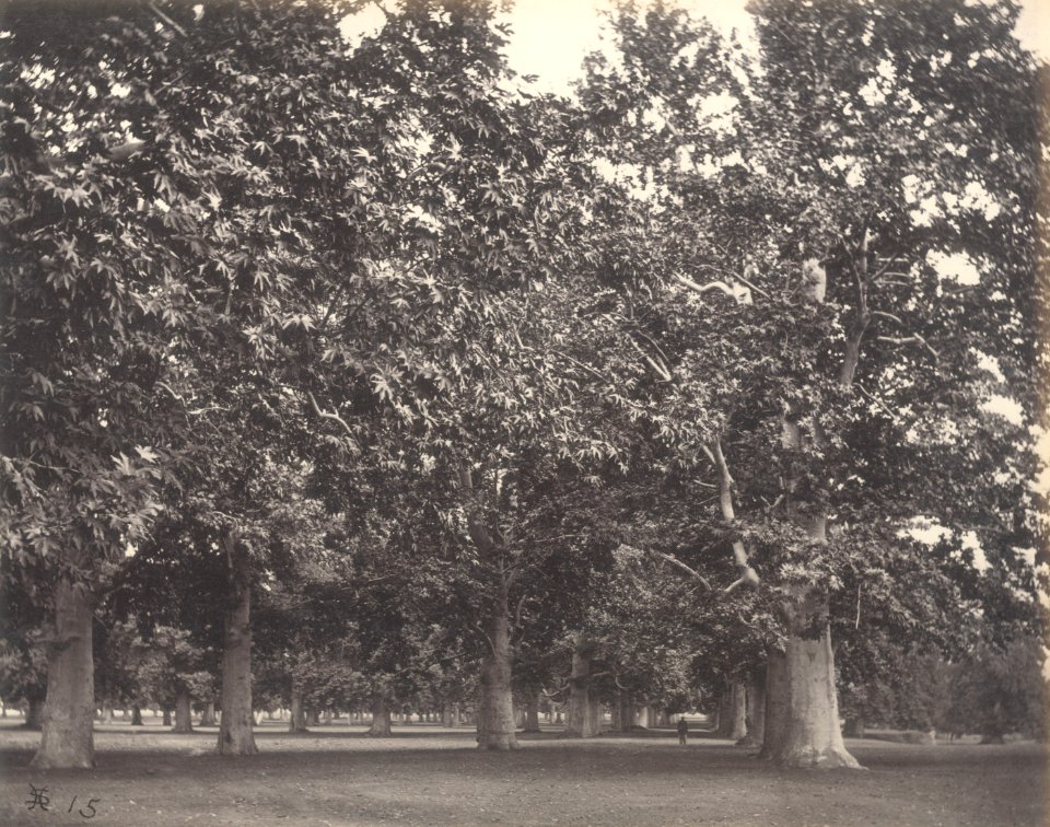 KITLV 100524 - Unknown - Park, presumably in Kashmir in British India - Around 1870