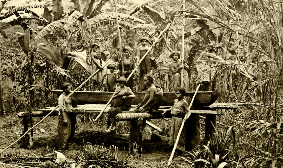 KITLV - 78481 - Kleingrothe, C.J. - Medan - Karo Batak women in the rice pounding on the east coast of Sumatra - circa 1905
