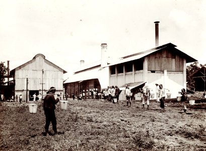 KITLV - 78511 - Kurkdjian - Sourabaia-Java - Men and women at a rubber factory, probably in Java - circa 1915