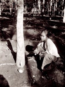 KITLV - 78515 - Kurkdjian - Sourabaia-Java - Woman at work on a rubber plantation, probably in Java - circa 1915