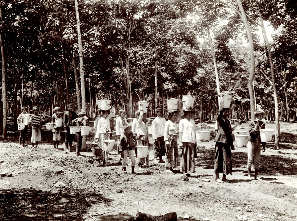 KITLV - 78519 - Kurkdjian - Sourabaia-Java - Men and women working at a rubber plantation, probably in Java - circa 1915