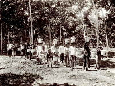 KITLV - 78519 - Kurkdjian - Sourabaia-Java - Men and women working at a rubber plantation, probably in Java - circa 1915