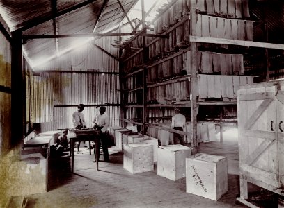 KITLV - 78527 - Kurkdjian - Sourabaia-Java - Men at work in a rubber factory, probably in Java - circa 1915