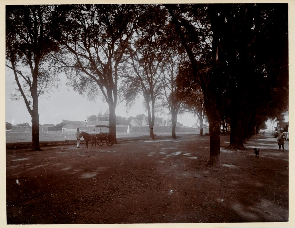 KITLV - 9903 - Lambert & Co., G.R. - Singapore - Fort Rotterdam seen from the Hooge Pad at Makassar (Kota Makassar) - circa 1910