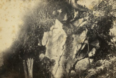 KITLV 106688 - Isidore van Kinsbergen - Faded inscriptions interstate Telaga Warna and Telaga Pengilon the Dijeng plateau in Wonosobo - 1864-07-1864-09